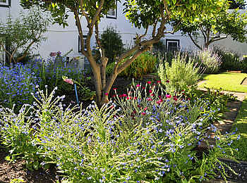 Grande Roche Hotel: Kräutergarten