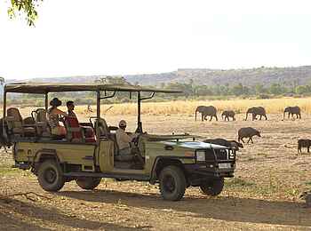 Jabali Private House: Elefanten und Büffel