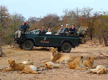 Motswari Game Lodge: Eine Begegnung mit rastenden Löwen