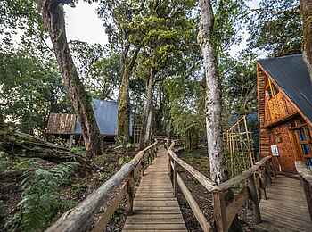 Munazi Lodge: Wege zwischen Cottages