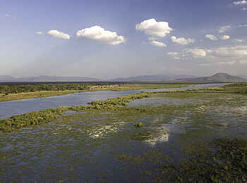 Mvuu Camp: Die Floodplains des Shire