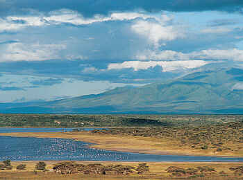 Ndutu Safari Lodge: Landschaft Ndutu Safari Lodge: Landschaft