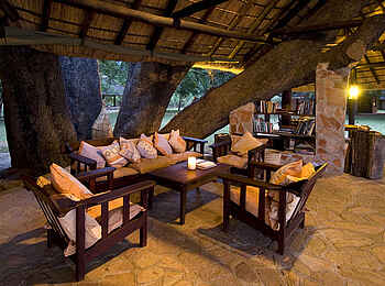 Nkwali Camp: Lounge