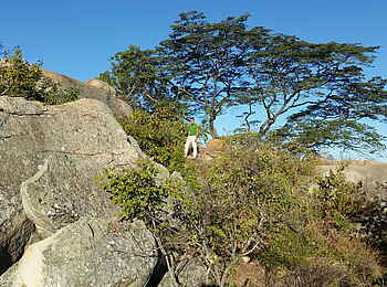 Musangano Lodge: Mount Chikanga Trail