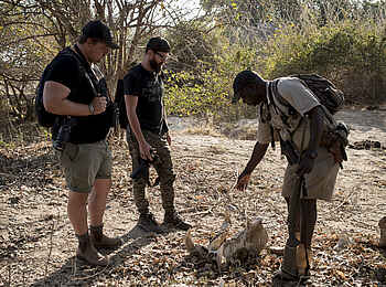 Nyamatusi Camp: Geführte Buschwanderung mit Ranger Nyamatusi Camp: Geführte Buschwanderung mit Ranger