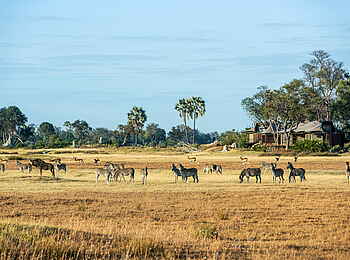 Xigera Safari Lodge: General Game vor der Lodge Xigera Safari Lodge: General Game vor der Lodge