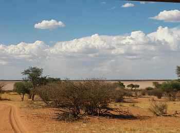 Bagatelle Kalahari Game Ranch: Ausblick