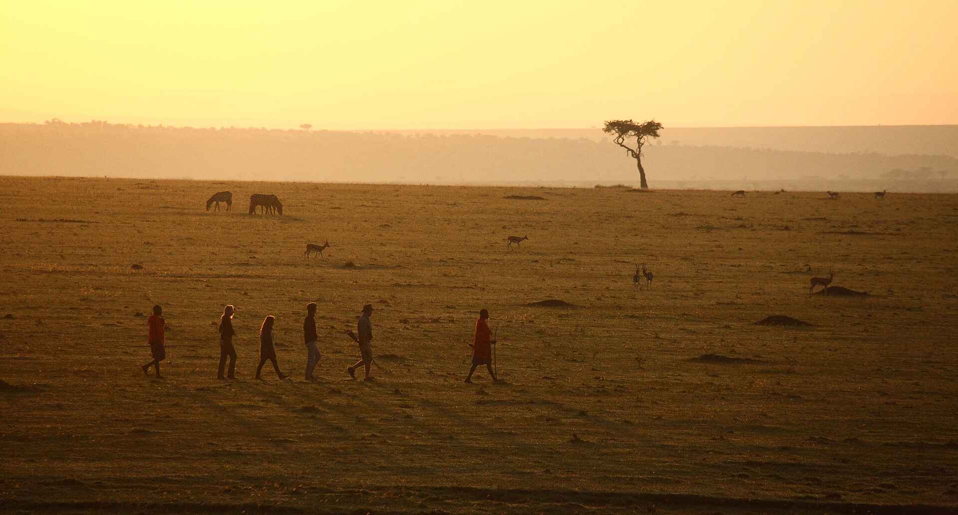 Elephant Pepper Camp: Buschwanderung Elephant Pepper Camp: Buschwanderung