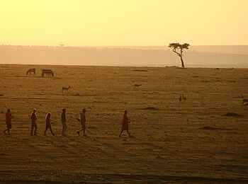 Elephant Pepper Camp: Buschwanderung Elephant Pepper Camp: Buschwanderung