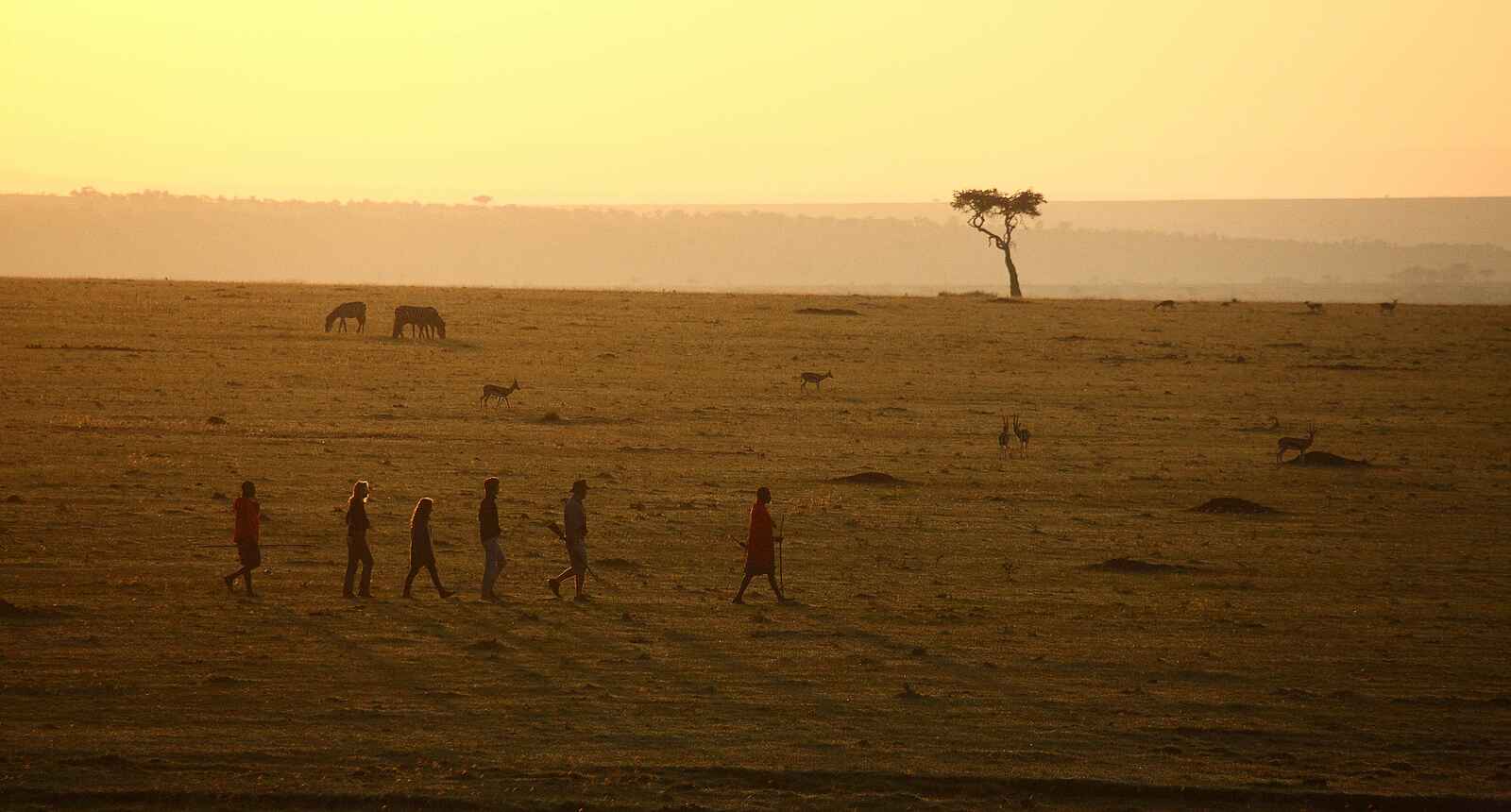 Elephant Pepper Camp: Buschwanderung Elephant Pepper Camp: Buschwanderung