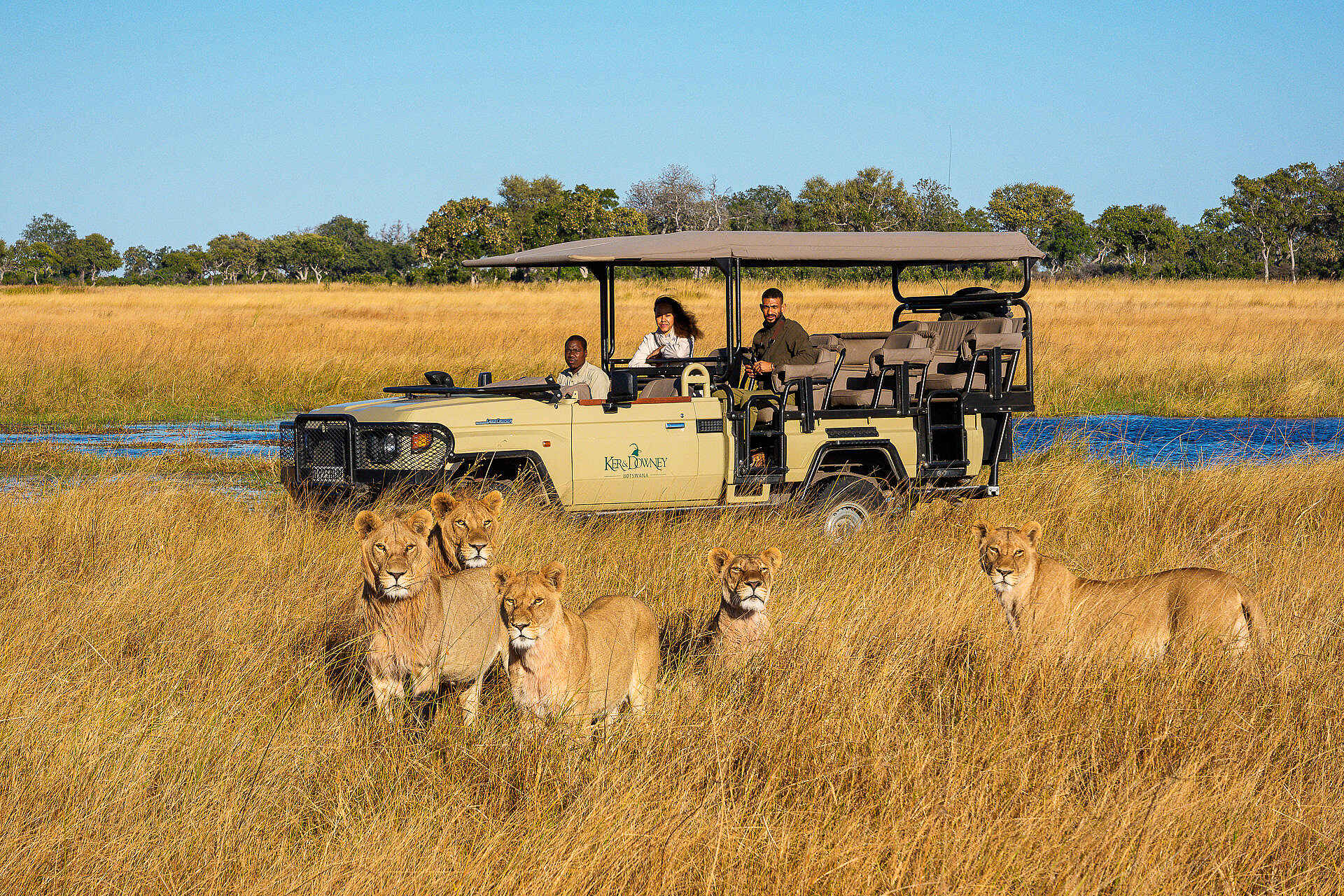 Kanana-Nyana-Camp: Löwen