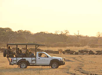 Khulu Bush Camp: Pirschfahrt Khulu Bush Camp: Pirschfahrt