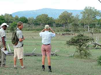 Lake Manze Camp: Gnus Lake Manze Camp: Gnus