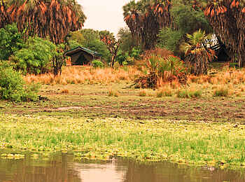 Lake Manze Camp: Natur pur Lake Manze Camp: Natur pur