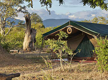 Mdonya Old River Camp: Gästezelt mit Vordach
