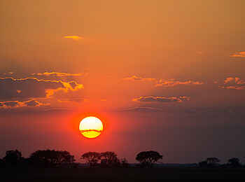 Mukambi Busanga Plains Camp: Afrikanischer Sonnenuntergang Mukambi Busanga Plains Camp: Afrikanischer Sonnenuntergang