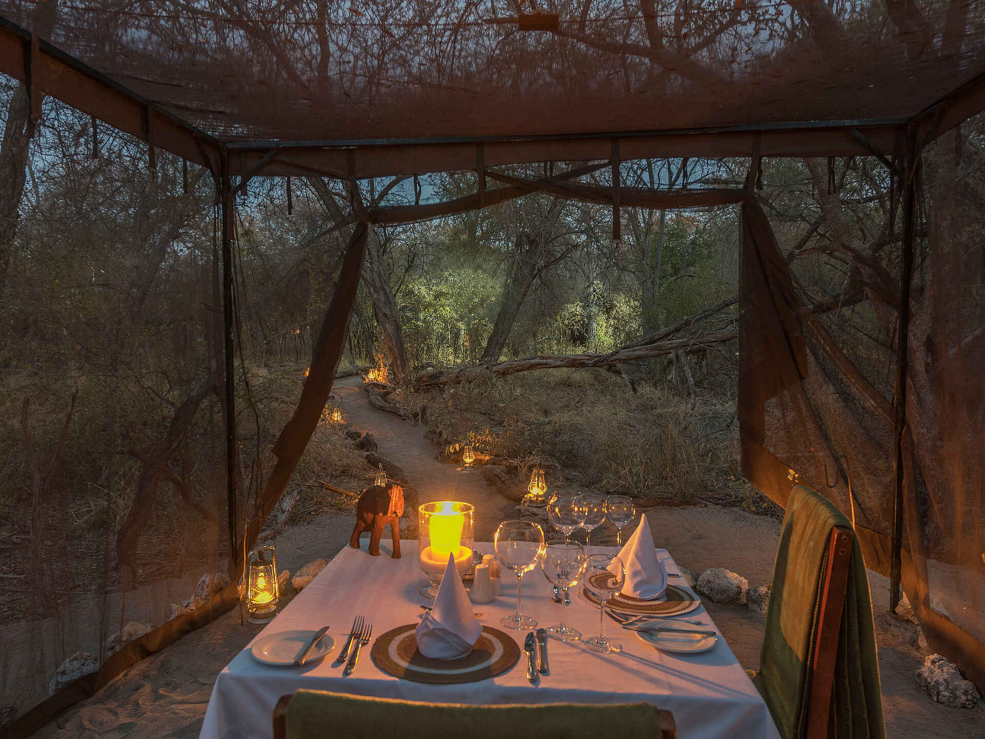 Romantisches Privatdinner im Onguma Forest Camp