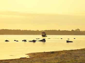 Roho ya Selous Camp: Hippo-Spotting vom Boot aus Roho ya Selous Camp: Hippo-Spotting vom Boot aus