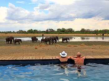 Sable Alley Camp: Swimmingpool mit Blick auf Elefantenherde