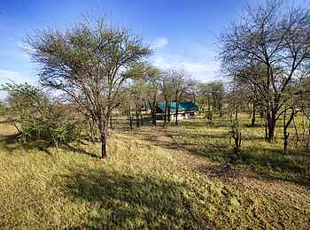 Serian Serengeti Mobile Camp: Weg zum Safarizelt