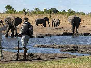 Somalisa Expeditions Camp: Auf Walking Safari