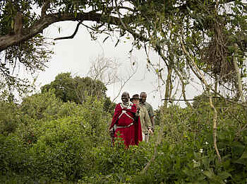 The Highlands Camp: Walking Safari im Hochland