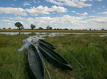 Bushman Plains Camp: Mekoro am Ufer Bushman Plains Camp: Mekoro am Ufer