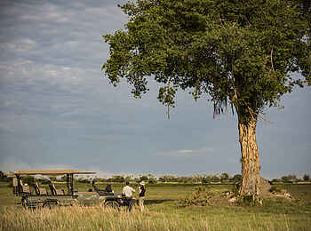 Mombo Camp: Kaffeepause während Game Drive Mombo Camp: Kaffeepause während Game Drive