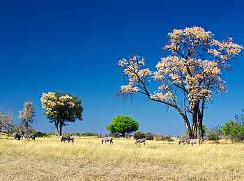 Splash Camp: Die Landschaft im Frühling