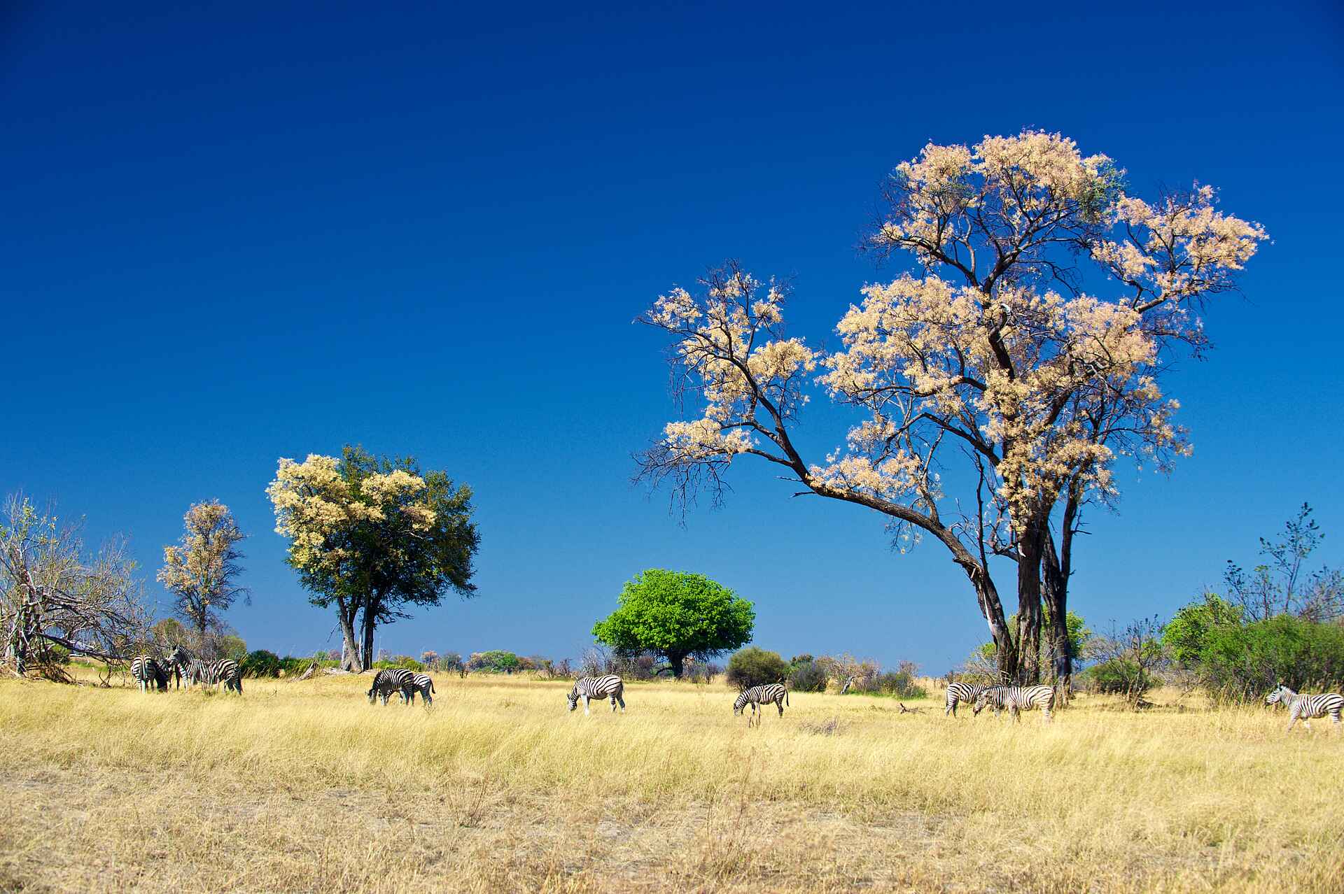 Splash Camp: Die Landschaft im Frühling