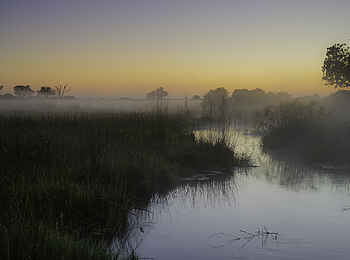 Splash Camp: Morgennebel