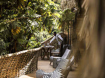 Bisate Lodge: Veranda mitten in der Natur Bisate Lodge: Veranda mitten in der Natur