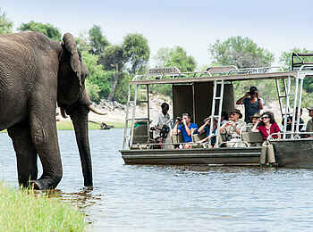 Chobe Princess: Ein Elefant aus nächster Nähe Chobe Princess: Ein Elefant aus nächster Nähe