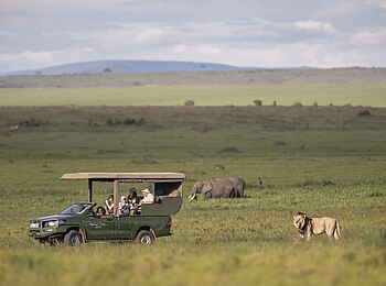 Governor´s Camp: Game Drive