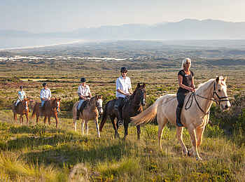 Grootbos Private Villas: Reit Safari Grootbos Private Villas: Reit Safari