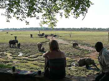 Kafunta River Lodge: Elefanten vor der Lodge