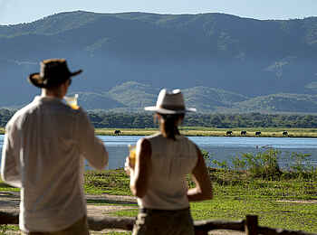 Nyamatusi Mahogany: Ausblick