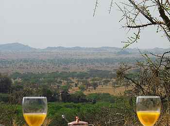 Serengeti Pioneer Camp: Blick vom Frühstückstisch Serengeti Pioneer Camp: Blick vom Frühstückstisch