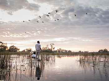 Vumbura Plains Camp: Mokorofahrt
