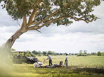 Mombo Camp: Gabelfrühstück unter einem Baum Mombo Camp: Gabelfrühstück unter einem Baum