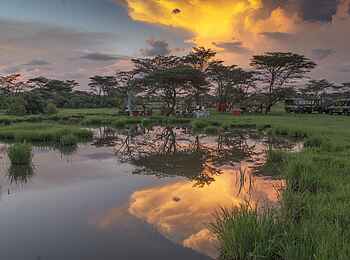Richards River Camp: Abendessen unter freiem Himmel Richards River Camp: Abendessen unter freiem Himmel