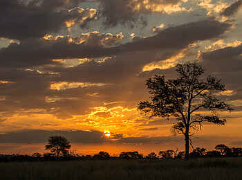 Sabi Sabi Selati Camp: Sonnenuntergang Sabi Sabi Selati Camp: Sonnenuntergang