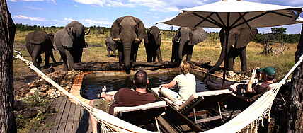 African Bush Camps, Beks Ndlovu, Elefanten, Hwange National Park, Pool, Somalisa, Somalisa Camp