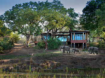 Tengile River Lodge: Elefanten neben der Lodge