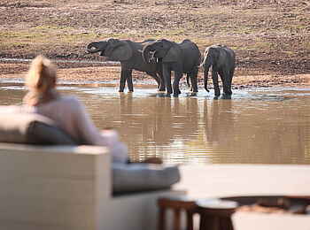 Time + Tide Chinzombo: Elefanten auf Besuch
