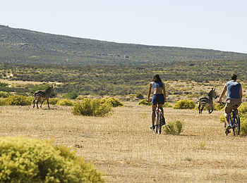 Bushmans Kloof Wilderness Lodge: Mountain Biking Bushmans Kloof Wilderness Lodge: Mountain Biking