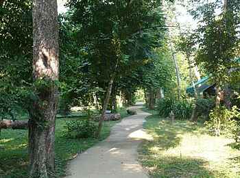 Ishasha Wilderness Camp: Camp-Anlagen Ishasha Wilderness Camp: Camp-Anlagen