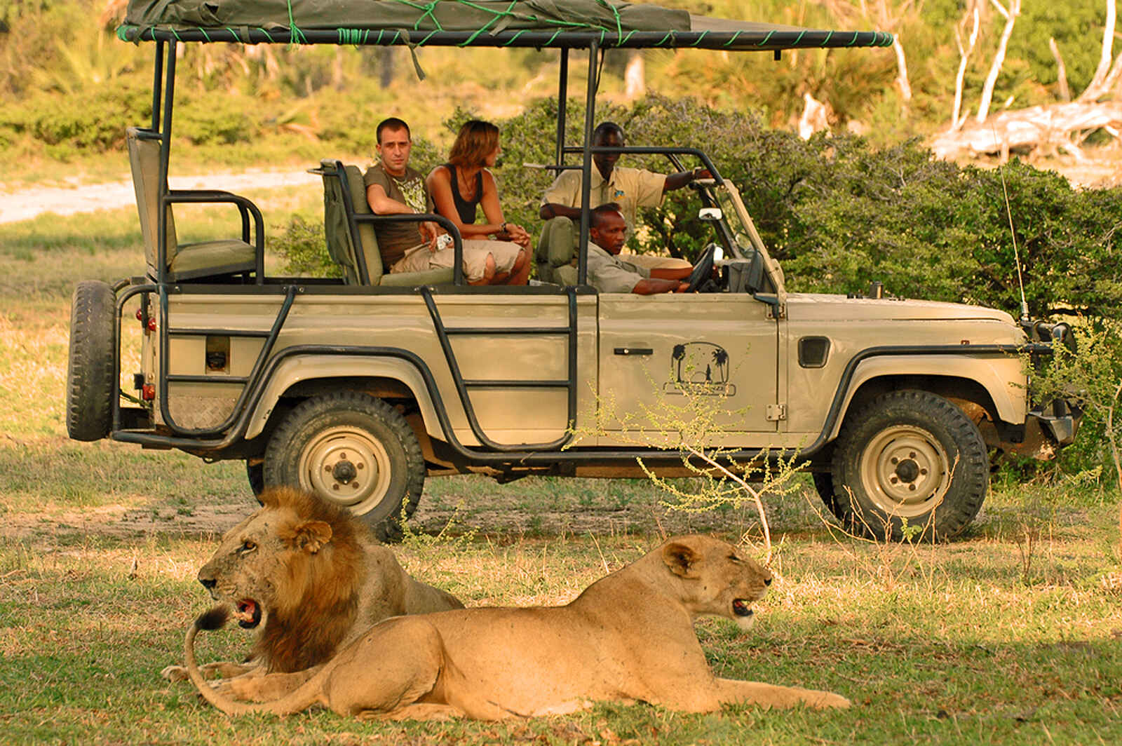 Lake Manze Camp: Löwenpause Lake Manze Camp: Löwenpause