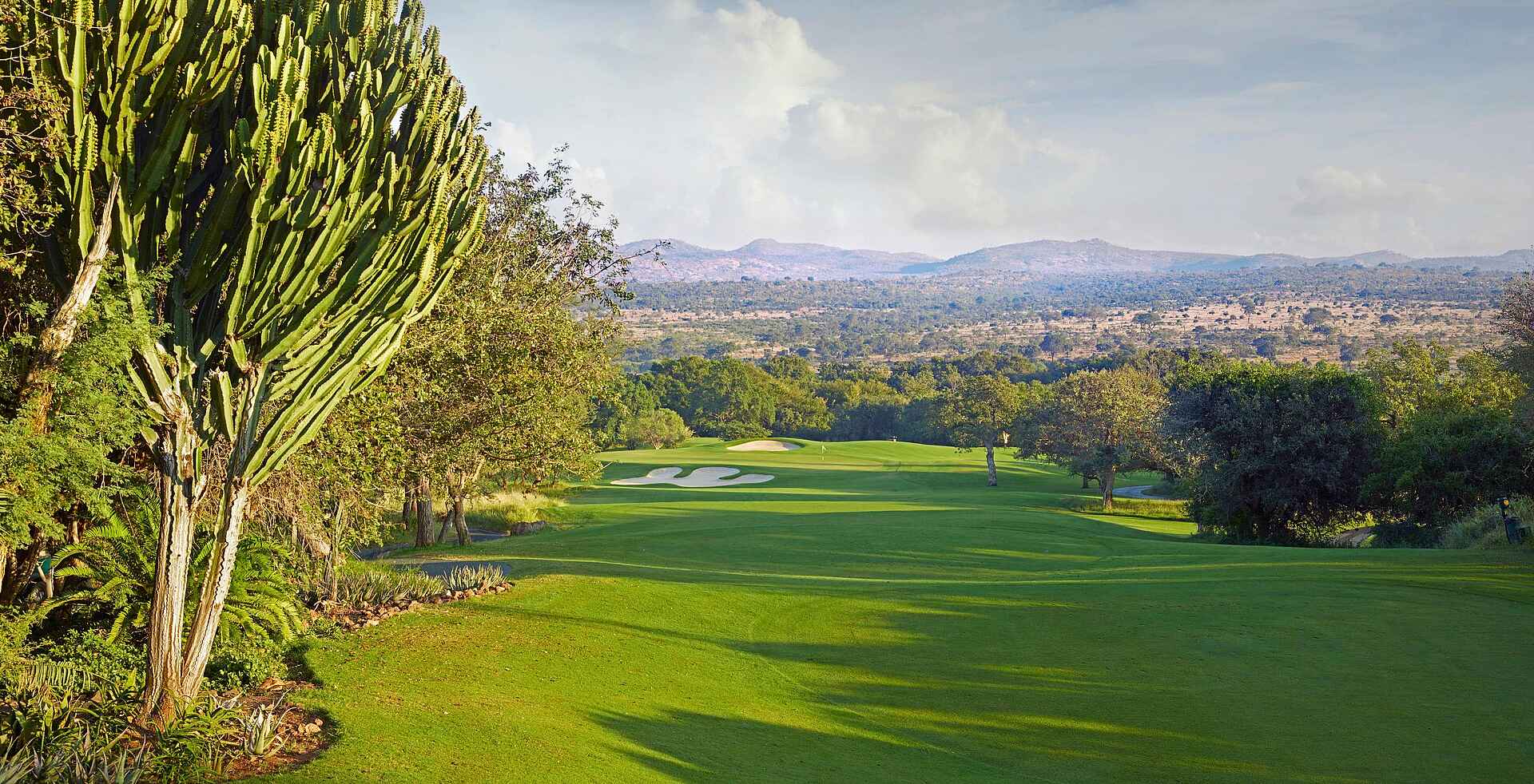 Leopard Creek Estate: Auf dem Platz Leopard Creek Estate: Auf dem Platz