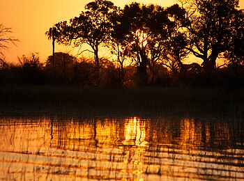 Macatoo Camp: Goldener Sonnenuntergang